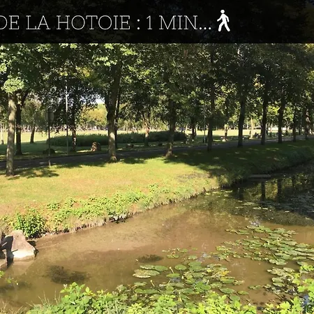 Appartement Casamara 1 T1 Avec 2 Couchages 10 Min Chu