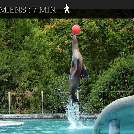 Casamara 1 T1 Avec 2 Couchages 10 Min Chu * Amiens